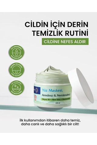 Yüz Maskesi Aloe Vera Niacinamide Leke Karşıtı 100 Ml