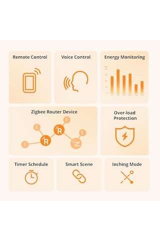 Ayrex Sonoff S60 Zigbee Akıllı Priz