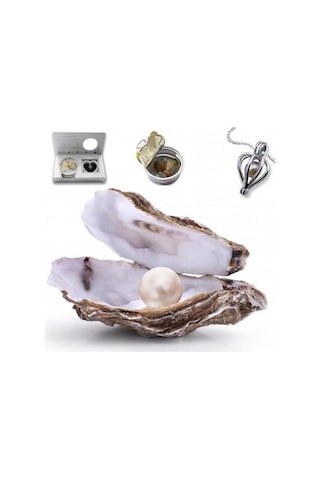 Istiridye Içinde Gerçek Inci Kolye (311674816)