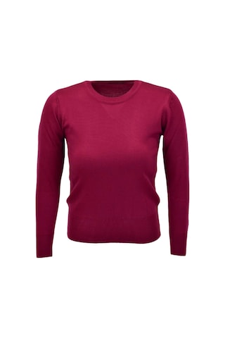 Kadın Sıfır Yaka Spor Kazak Bgl-st04085 Bordo