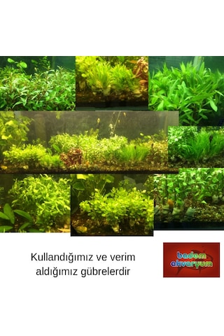 Akvaryum Sıvı Bitki Gübresi 1 Adet 250 Ml Potasyum