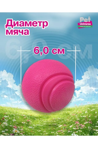 Pet Universe Köpekler İçin Dayanıklı Top Oyuncak 6 Cm 89 Gram Pu3052pk 198986249