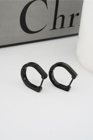 Kadın 316 L Paslanmaz Çelik 1.8 Cm Oval Model Küpe - Siyah