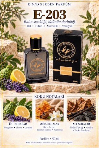 KP E-203 Erkek Parfüm EDP 50 ML