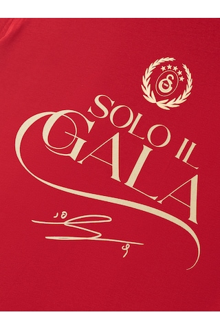 Gsstore Galatasaray Solo Il Gala Erkek T-shirt E251550 Kırmızı