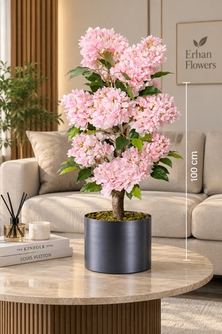 100 Cm Pembe Ortanca Ağacı