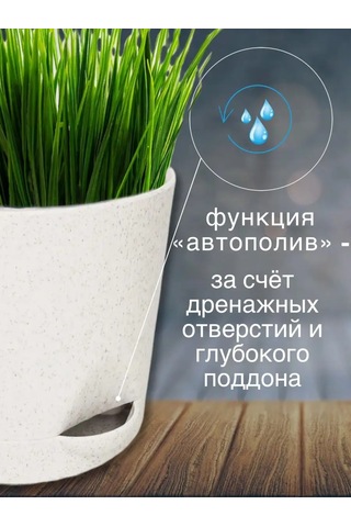 Interm Kaktüs, Menekşe, Çiçekler İçin Mini Saksı Ve Fide Kasesi 94877527