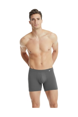 Blackspade Erkek Silver Boxer 9313 Antrasit