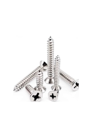 Sunta Vidası Galvanizli 4x20 Mm 500 Adet