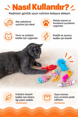 Petstages Kitty Sweet Treats Şekerleme Şeklinde Catnip'li Kedi Çiğneme Oyuncağı 6'lı Paket
