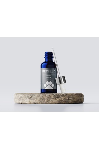 Pet Feed Biyozis Plus B 100 Ml Kedi Ve Köpeğiniz İçin Sindirim - Bağışıklık Sistemi Destekleyici %100 Doğal