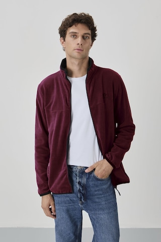 Tommy Life Erguvan Yazı Nakışlı Dik Yaka Fermuarlı Standart Kalıp Erkek Sweatshirt Polar - 87992 Mor