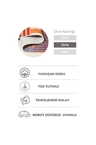 Lexus Çok Renkli Premium Halı & Yolluk Özel Kaymaz Tabanlı Yıkanabilir Tozumaz Modern Karışık Renkli