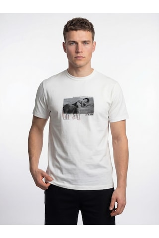 Regular Fit Erkek Tshirt K.kol Beyaz