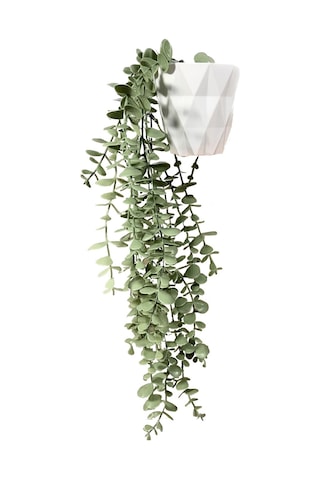 Lilac Home Elmas Beyaz Saksıda Pastel Yeşili Okaliptus Sarkıtı Yapay Çiçek