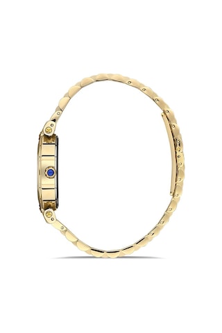 Cs389g-02sg Momentus Women's Classystar Kol Saati 32 Mm / Gold Çok Renkli