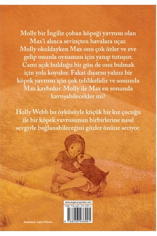 Kaybolan Köpek Max