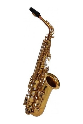 Bonson Xal1001 Gold Alto Saksafon Seti