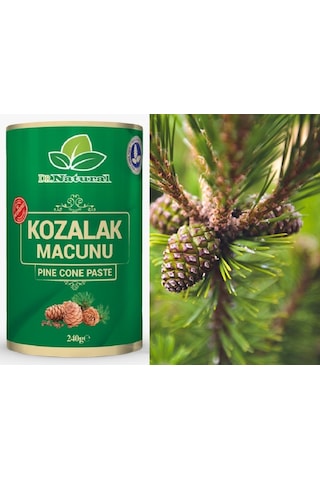 Dr. Natural Kozalak Macunu Çam Kozalağı Macun 240 G