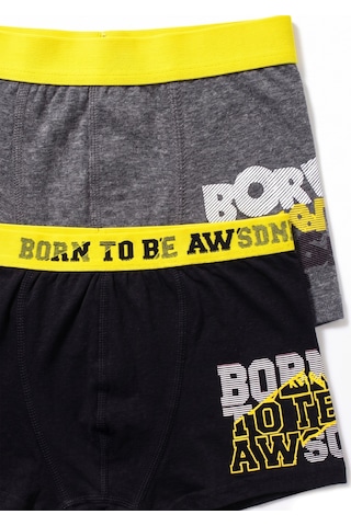 Öts Erkek Çocuk 3 Lü Pamuklu Boxer Baskılı Ekstra Konforlu Kalıp 7290-3 Renkli