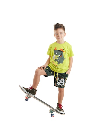 Denokids Kaykay Hipo Erkek Çocuk T-shirt Şort Takım Çok Renkli