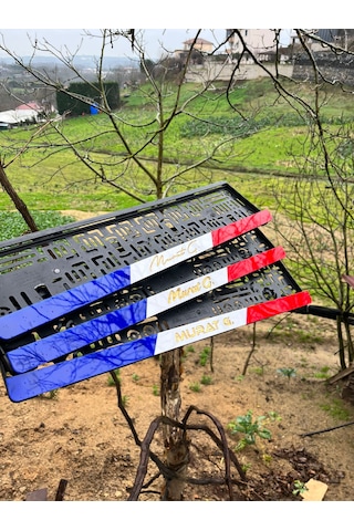 Fransız Kişileştirilebilir Otomobil Plakalığı