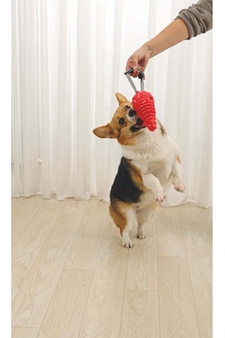 M-pets Drogo Ödül Hazneli Köpek Oyuncağı Turuncu 18x8,5x8,5 Cm 244-50131.01