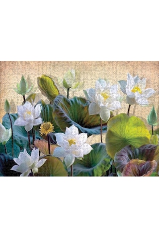 Nova Puzzle 1000 Parça Beyaz Nilüfer Çiçekleri Puzzle