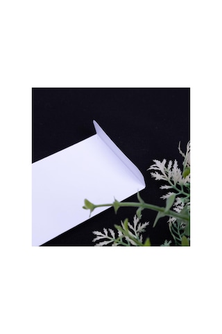 Beyaz Zarf, 6x12 Cm 25 Adet