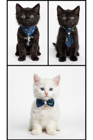 Flypet Tırtıl Desen 3lü Set Papyon + Fular+ Kravat Kedi Tasma & Yavru Köpek Tasma 13cm-24cm Ayarlanabilir Tasma