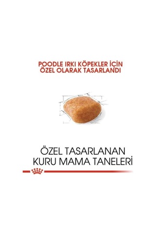 Poodle Adult Yetişkin Köpek Maması 3 Kg, 12546854785