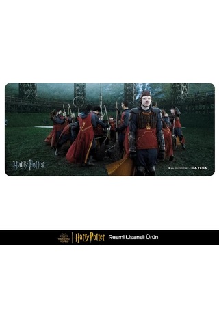 Exvega Harry Potter Ron Weasley Xxl Mousepad 90 40