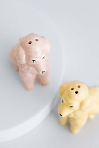 Yvonne Ellen Pastel Poodle Tuz Ve Biberlik Baharat Setleri Çok Renkli