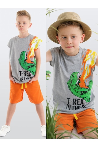 Denokids Mshb&g T-Rex Alev Erkek Çocuk T-Shirt Şort Takım Çok Renkli