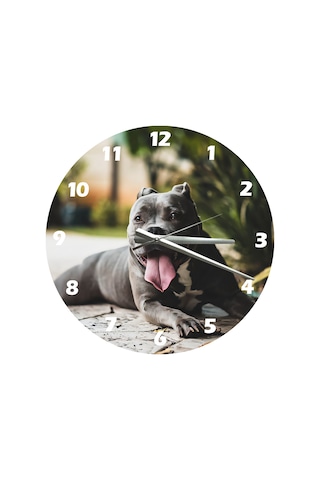 Ti-play Pitbul 30x30cm Akrilik Dekoratif Modern Duvar Saati Çok Renkli 03310137