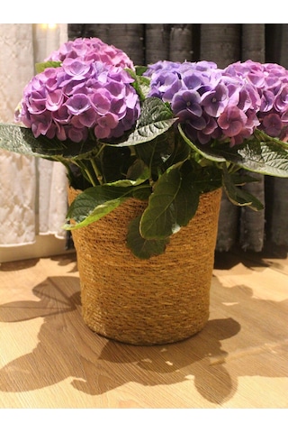 Hasır Silindir Sepet / Saksılık / Organizer / Düzenleyici Orta Boy