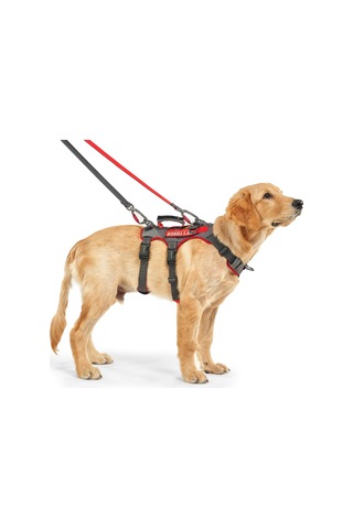 Interlaken Earthtech Slim 3.0 Köpek Göğüs Tasması Gri - Kırmızı XL Gri - Kırmızı