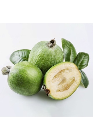 Tüplü Meyve Verme Yaşında Feijoa Kaymak Meyvesi Fidanı