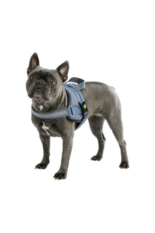 Belden Köpek Tasması Maestro 2.0 S 45-60 cm x 15 mm Mavi