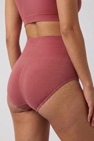Fit Women Toparlayıcı Yüksek Bel Külot 1010 Gül Kurusu