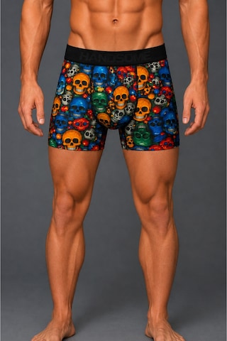 Brem Handsome Renkli Kurukafa Desenli Erkek Boxer Çok Renkli