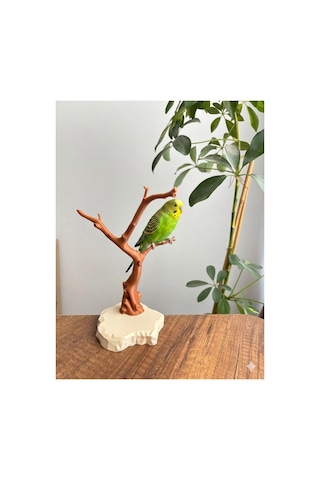 Doğal Dal Tasarımlı Muhabbet Kuşu Tünek Ağacı Dekoratif Kuş Tüneği Pla+ 3d Baskı 20 Cm