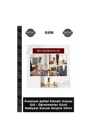 Premium Şeffaf Silindir Kutulu Gül - Öğretmenler Günü Hediyesi Sunum Sürpriz Vitrin Çok Renkli