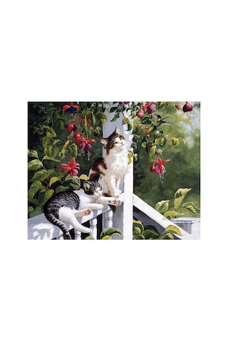 5d Elmas Boncuk Taş Işleme Mozaik Goblen Kit 50x65cm Sgk70224 Diamond Painting