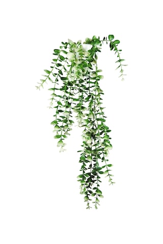 Özel Tasarım İki Renkli Elmas Beyaz Saksılı Saksılı Beyaz - Yeşil Okaliptus Sarkıtı Beyaz-Yeşil