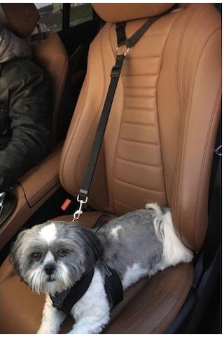 Araç Araba Köpek Kedi Emniyet Kemeri Tasması Oto Aksesuarı Evcil Siyah