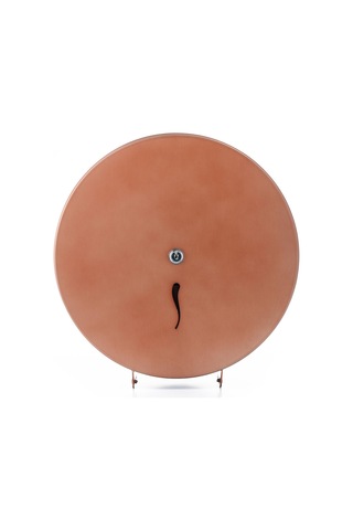 ARGESAN-Paslanmaz Çelik WC Kağıtlığı JUMBO Q28 cm-ROSE