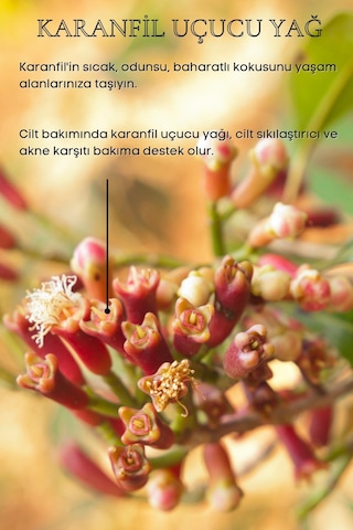 Bade Natural Karanfil Uçucu Yağı 10 ML