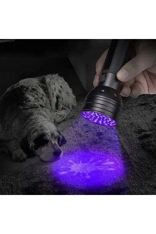 Wondernest 51 Led 395nm Uv Led Feneri, Evcil Hayvan İdrarı Algılama Desteği Siyah, Küçük Boyutlu Siyah