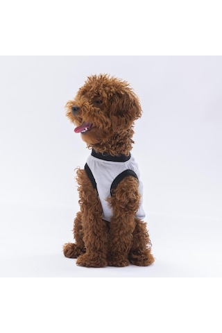 Pawstar Gri Travel Kedi Köpek Tişörtü Kıyafeti